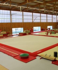 Traning Artistic Gymnastic