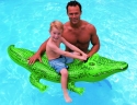 Swimming Pool Inflatables