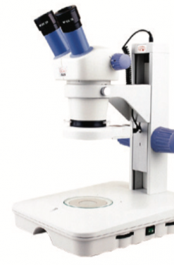 Stereo Microscope